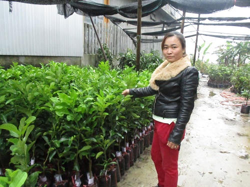 Những thanh niên lập nghiệp thành công trên quê hương