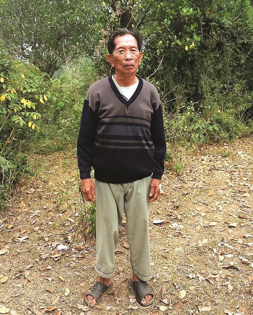 Thực hư chuyện 'ma Hời', 'đàn gà vàng' dưới chân phế tích tháp cổ Bàu Đá