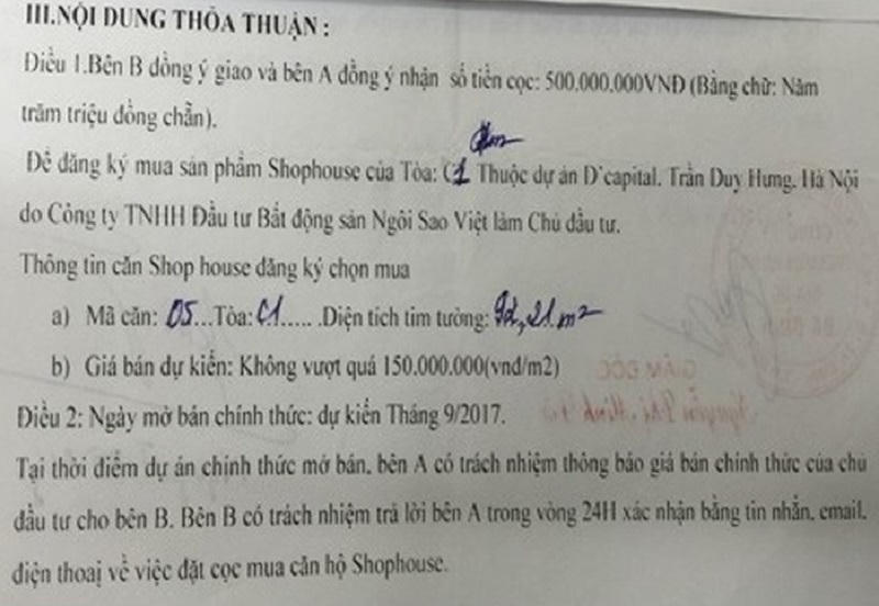 Giám đốc Công ty Bất động sản lừa khách hàng mua shophouse tại dự án D’Capitale