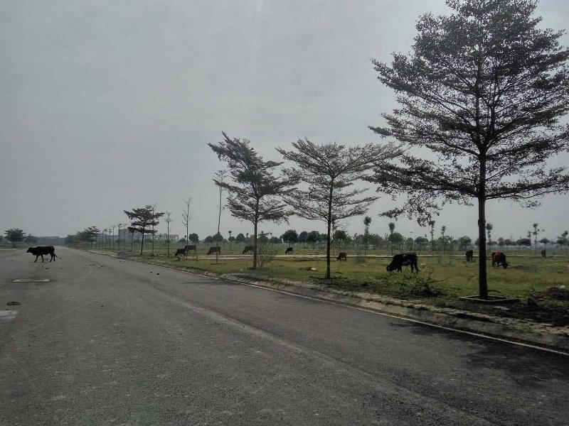 Xôn xao dự án xanh cỏ bất ngờ được hà hơi thổi giá 'nóng bỏng tay'