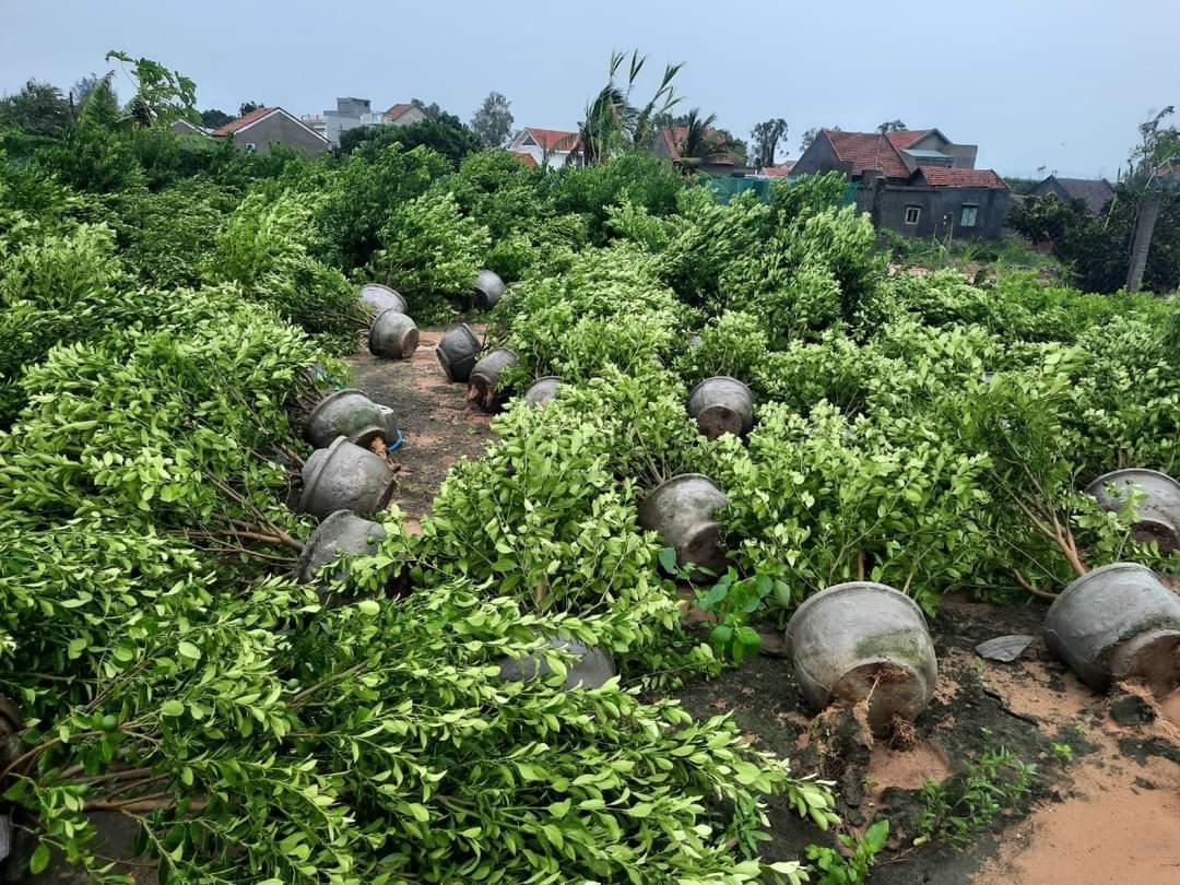 Phú Yên khẩn trương khắc phục hậu quả bão số 9