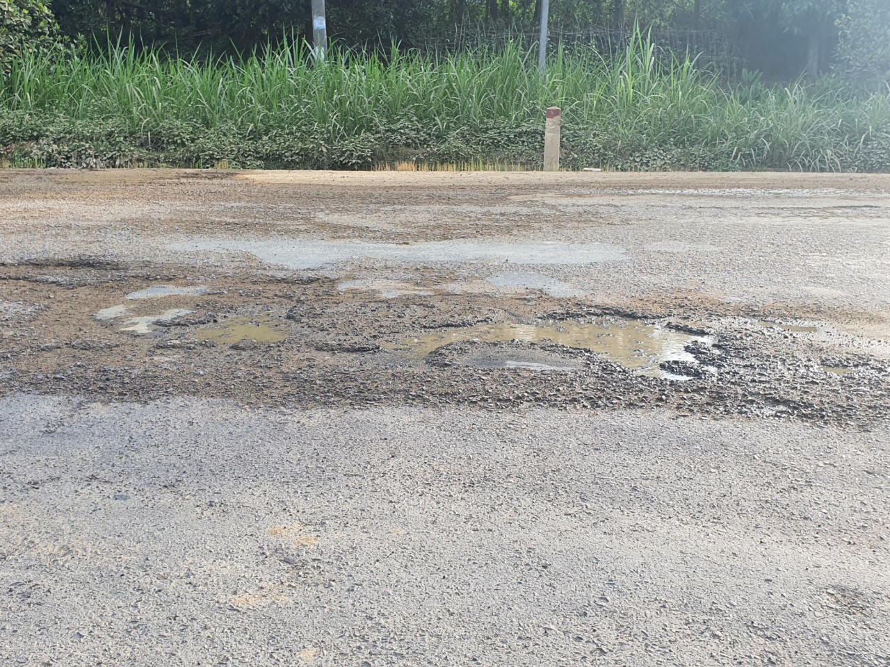 BQL dự án 2 chịu trách nhiệm nếu xảy ra mất an toàn trên Quốc lộ 19 qua tỉnh Bình Định