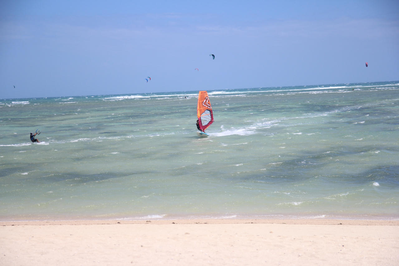 Sắp diễn ra tuần lễ lướt ván diều quốc tế tại Ninh Thuận 