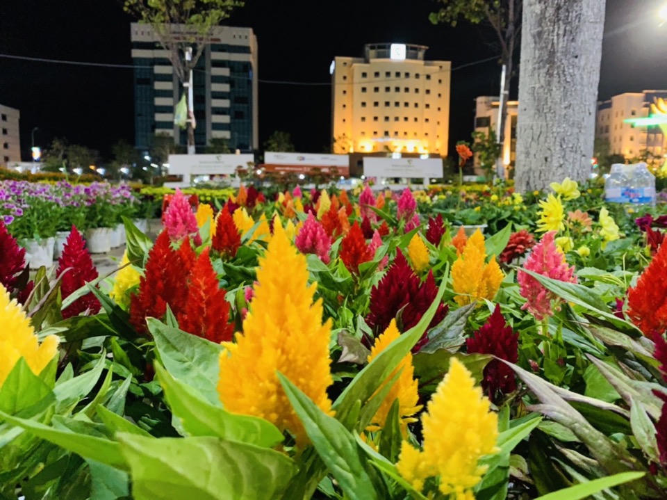 Bình Định tích cực triển khai các hoạt động bảo đảm cho người dân vui Xuân, đón Tết Quý Mão 2023