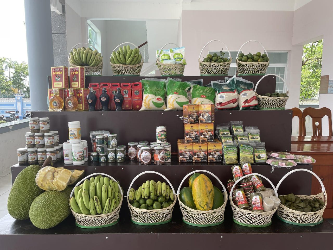 Phú Yên chuyển đổi 157 ha đất trồng lúa sang cây trồng khác.