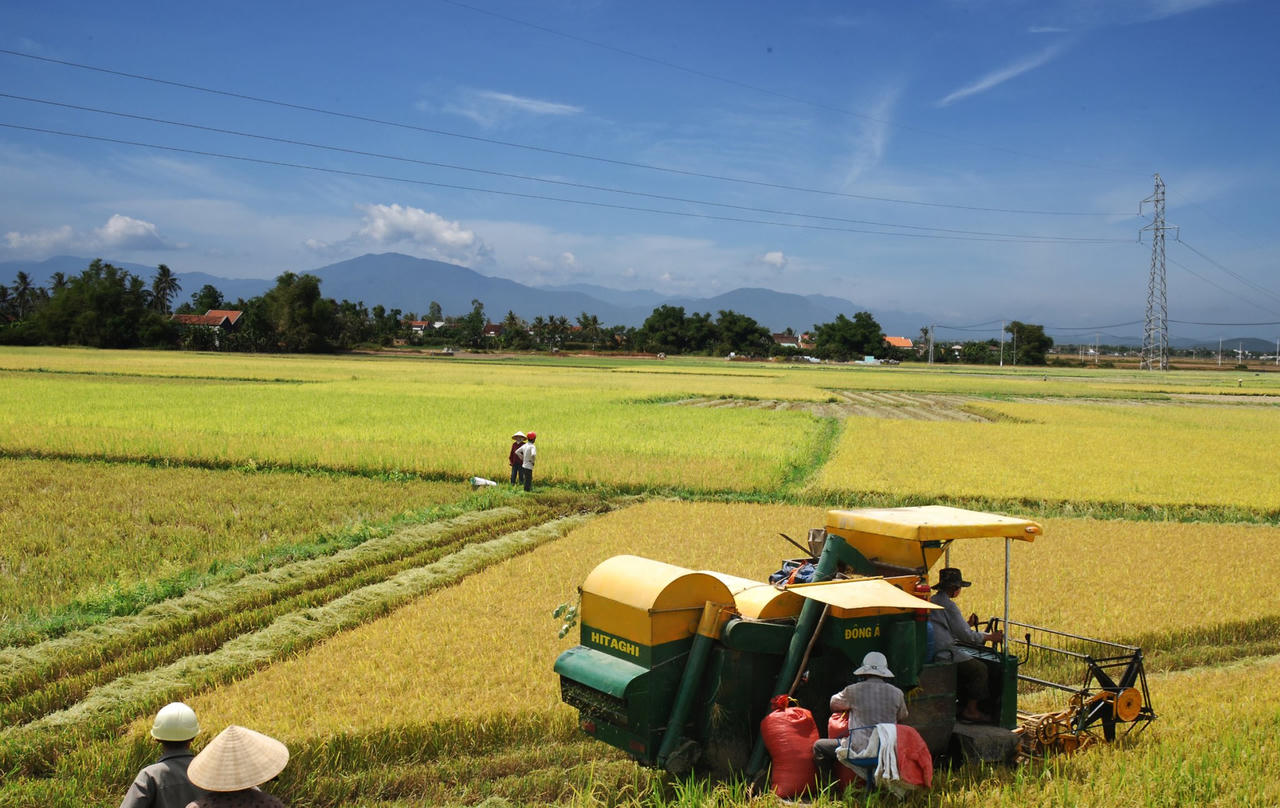 Tây Hòa (Phú Yên) đẩy mạnh phát triển kinh tế, nâng cao đời sống người dân 