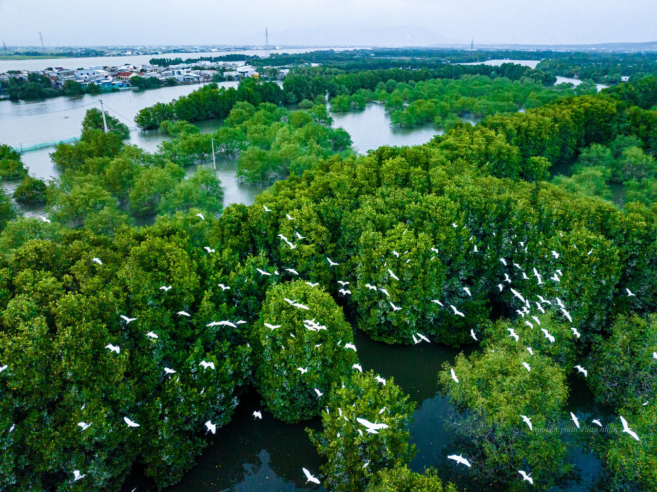 Bình Định phát triển các cụm ngành kinh tế quan trọng theo hướng xanh hóa