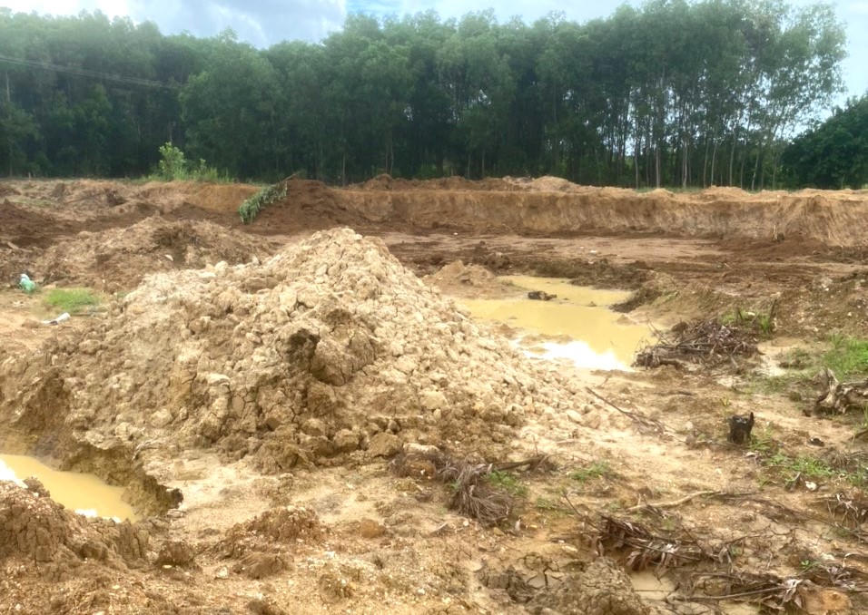 Bình Định: Cần xử lý nghiêm việc khai thác đất trái phép “giữa đêm khuya” tại huyện Tây Sơn