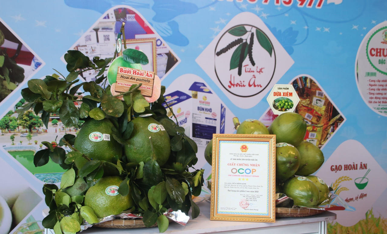 Xây dựng nông thôn mới ở Bình Định: Nâng cao đời sống vật chất, tinh thần cho người dân