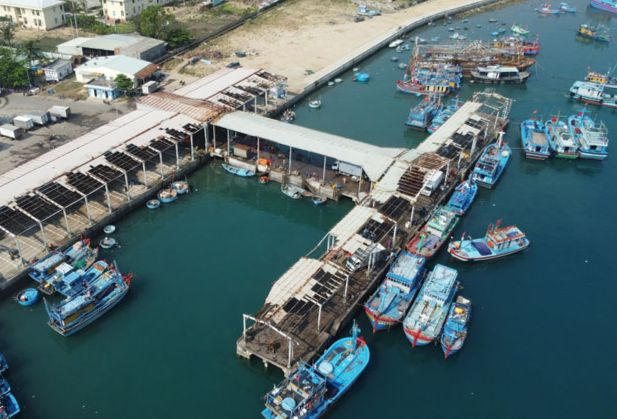 Bình Định: Khắc phục sự cố mất kết nối giám sát hành trình trên biển