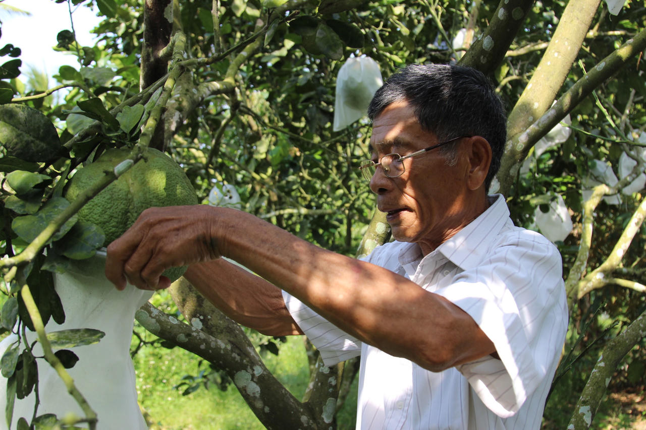 Nông sản Hoài Ân vươn tầm thế giới