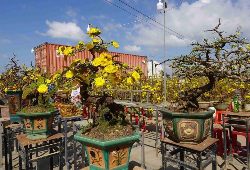 Những "đại sứ" lan tỏa vẻ đẹp An Nhơn