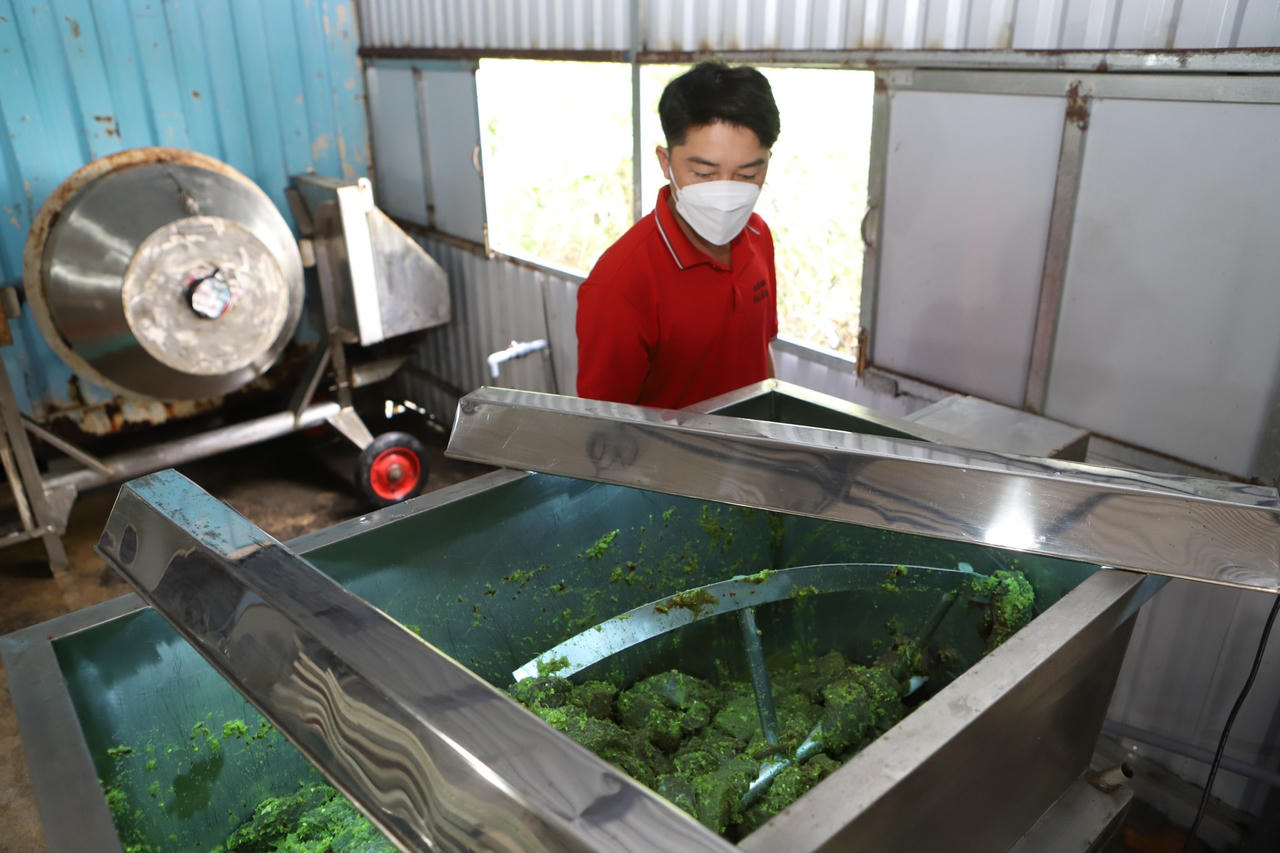 Bò một nắng Buôn Hai Riêng - Thương hiệu uy tín, sản phẩm chất lượng