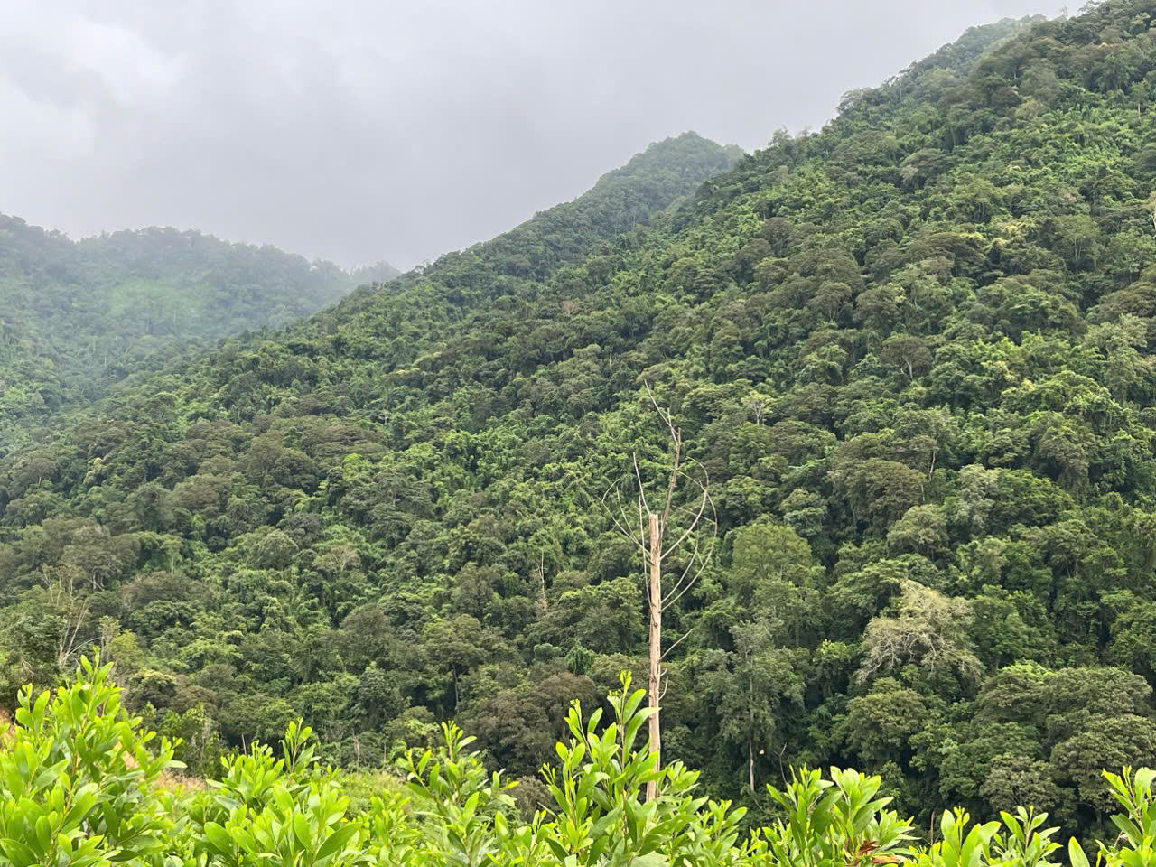 Bình Định: Khẩn trương lắp đặt hệ thống điện năng lượng mặt trời cho các hộ dân làng O2 