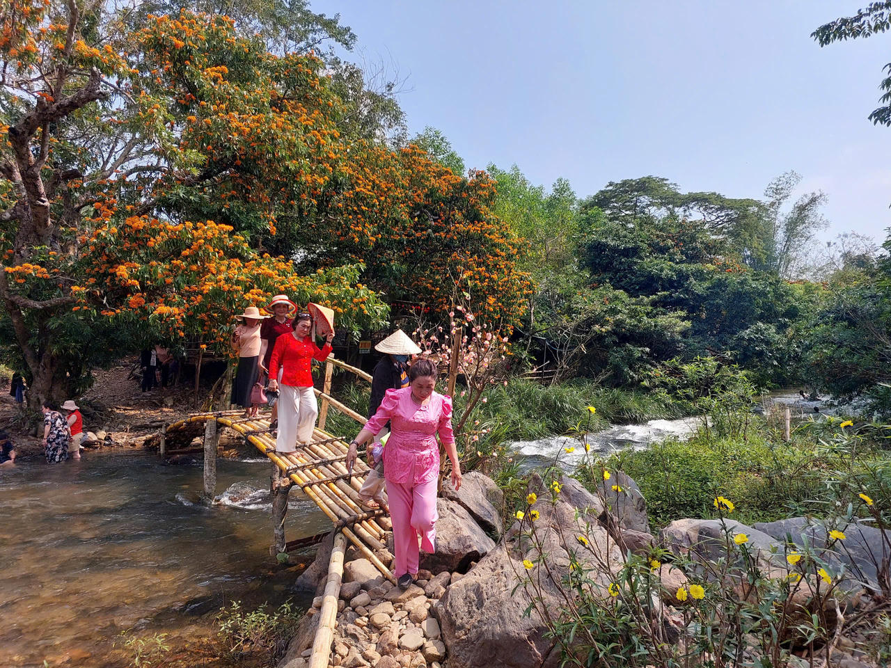 Bình Định miễn phí vé khứ hồi cho khách du lịch trong dịp kỷ niệm 50 năm Ngày giải phóng tỉnh 