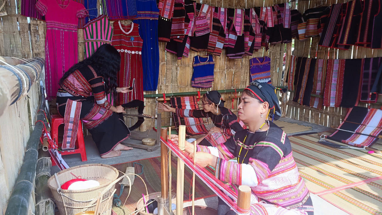 Khai mạc Ngày hội thưởng ngoạn hoa Trang suối Tà Má năm 2025 tại Bình Định