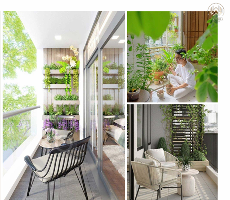 The Wisteria - Nơi thiên nhiên giao hòa nhịp sống