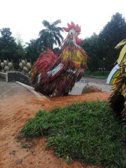 Quảng Ngãi: Đón Tết Đinh Dậu với cặp gà khủng bằng lá dừa nước.