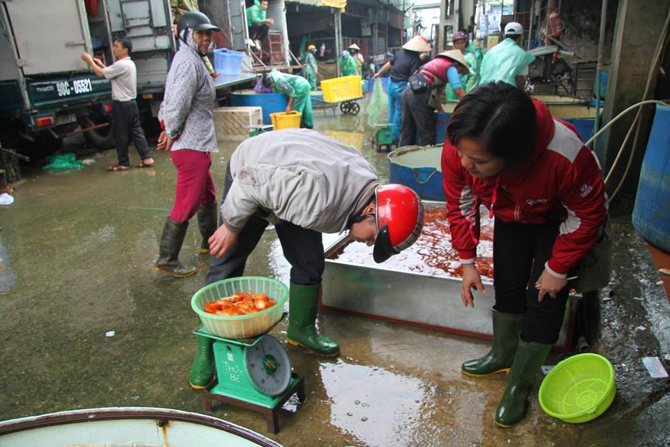 Sôi động chợ cá chép lớn nhất miền Bắc trước ngày Tết ông Táo