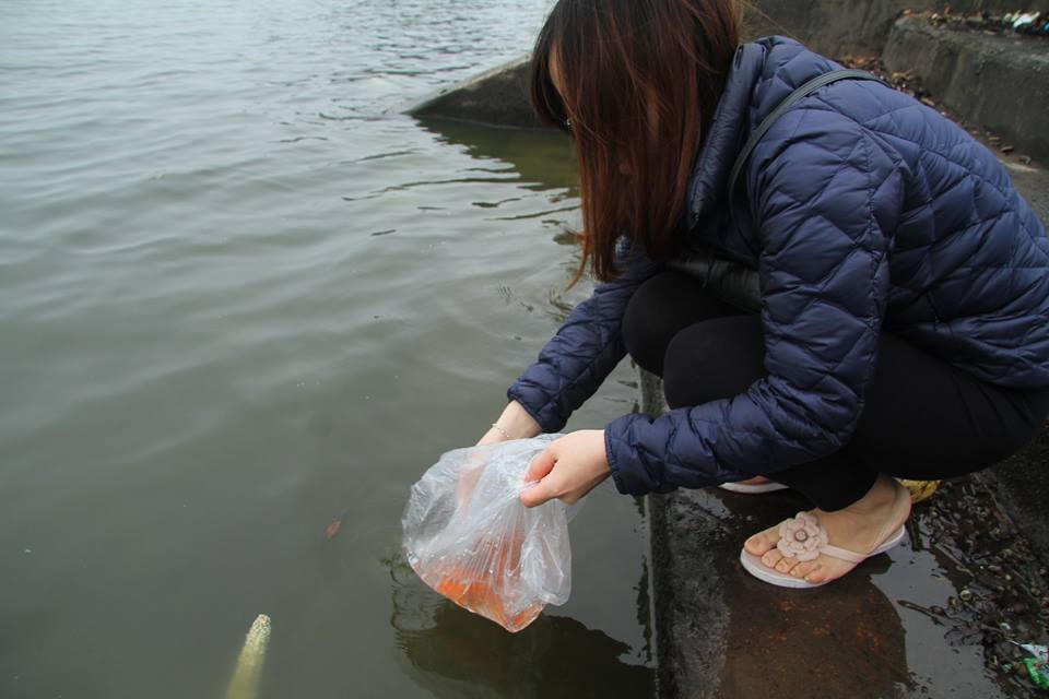 Nhiều ông Táo đã “lên chầu trời” sớm từ ngày 22