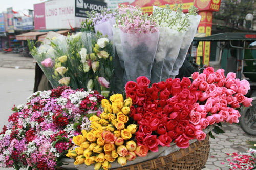 Hoa 'vỉa hè' Hà Nội hút khách dịp 8/3