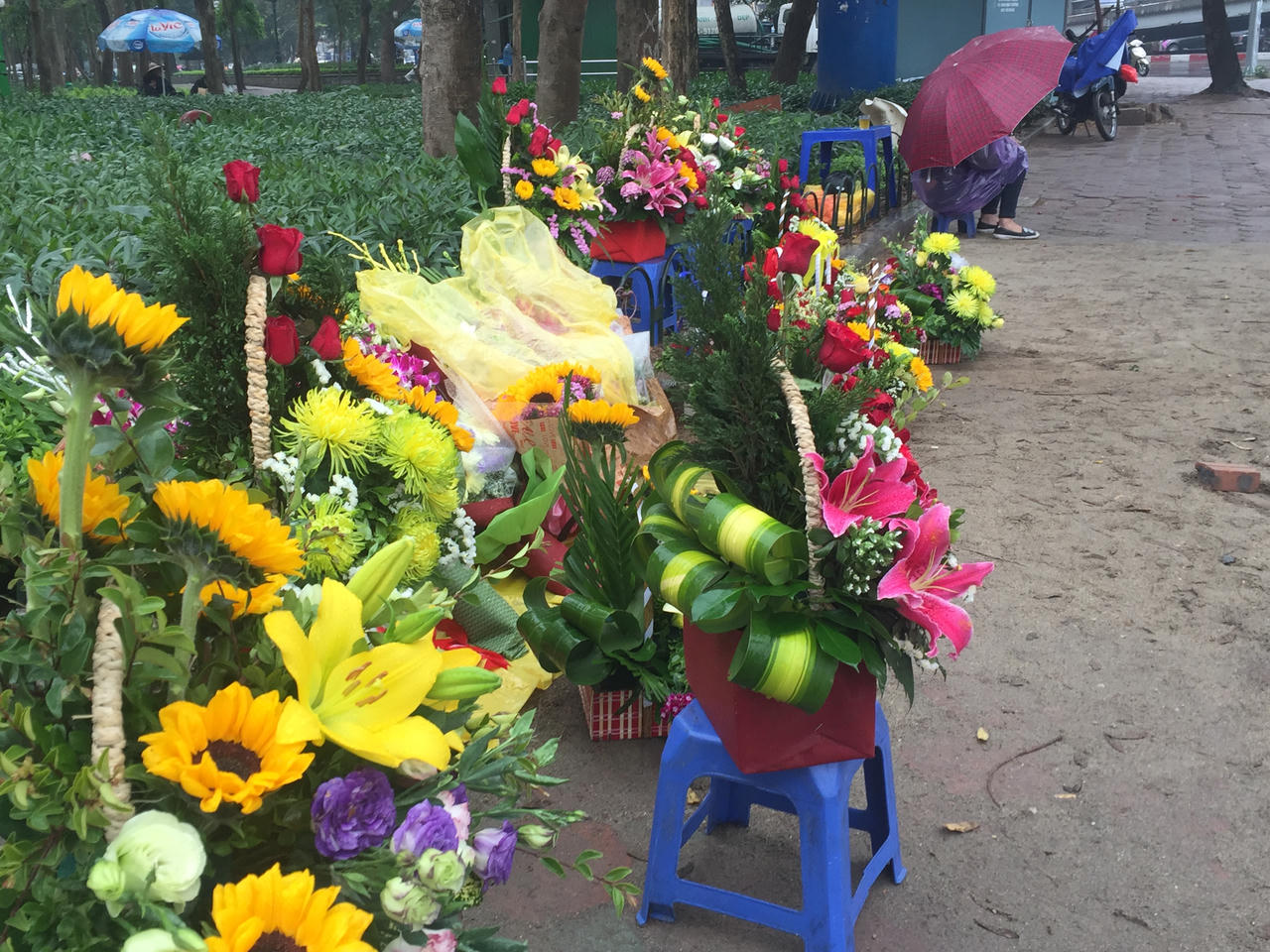 Hoa 'vỉa hè' Hà Nội hút khách dịp 8/3