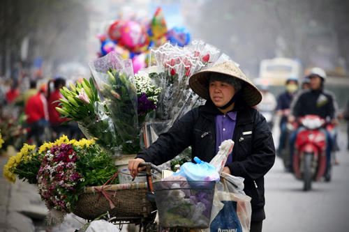 Hoa 'vỉa hè' Hà Nội hút khách dịp 8/3