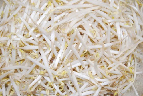 Kết quả hình ảnh cho trị khàn giọng