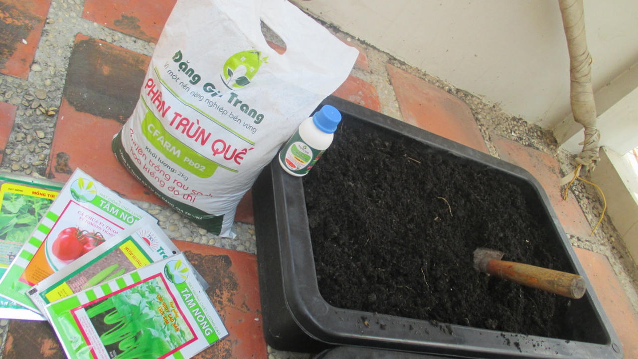 Kết quả hình ảnh cho bón phân cho tỏi