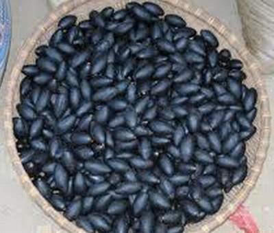 Kết quả hình ảnh cho nước quả trám