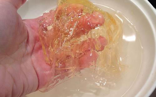 Kết quả hình ảnh cho sữa và gelatin