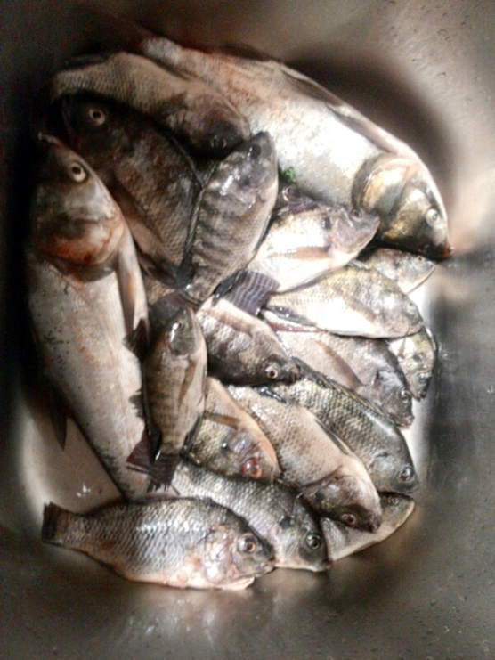 Muôn vàn kiểu đi chợ của chị em thời đại mới