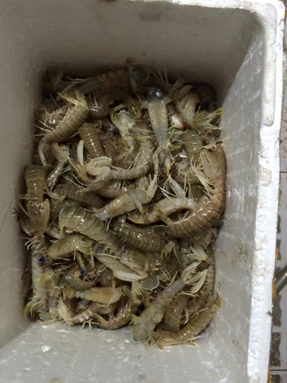 Muôn vàn kiểu đi chợ của chị em thời đại mới