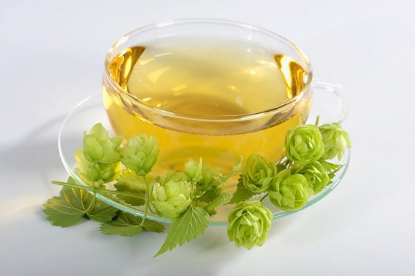 Kết quả hình ảnh cho hoạt động mùa đông