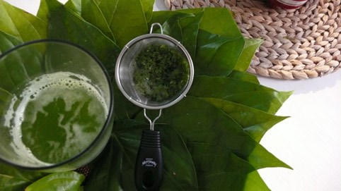 Kết quả hình ảnh cho lá trầu