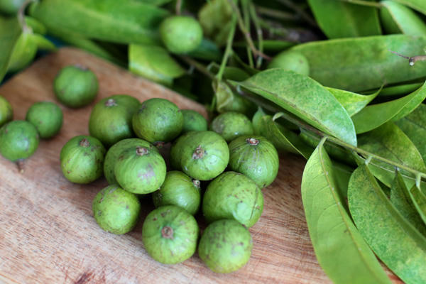 Kết quả hình ảnh cho chọn sấu ngon