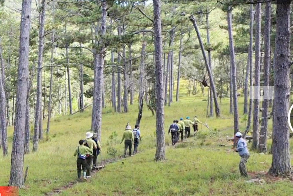Lâm Đồng: Tăng cường dự báo, chủ động phòng chống cháy rừng