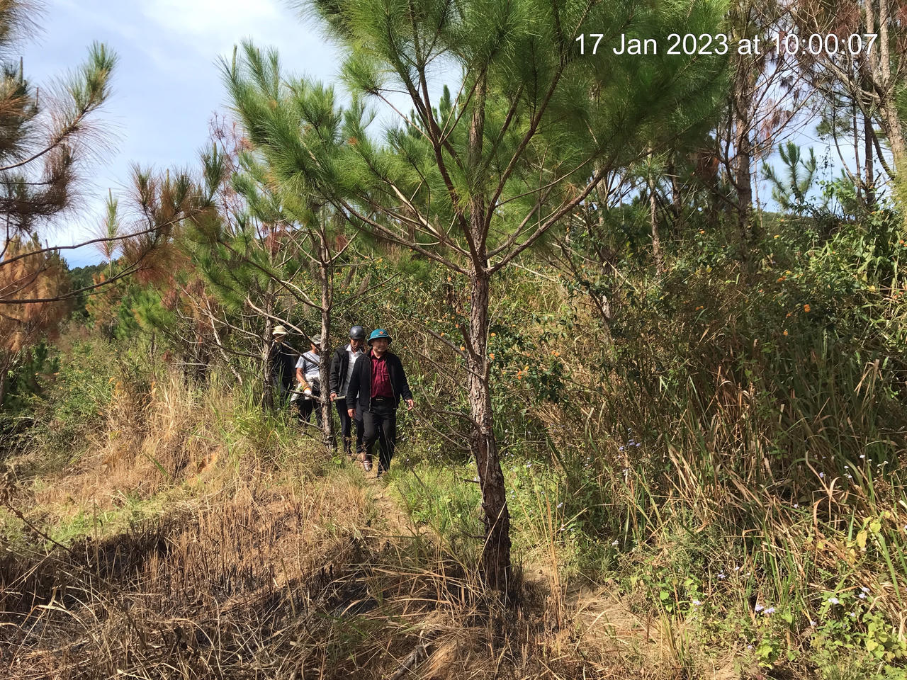 Lâm Đồng: Tăng cường dự báo, chủ động phòng chống cháy rừng