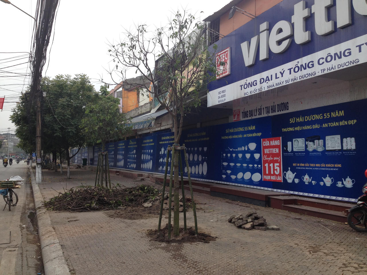 300 cây xanh ở Hải Dương đang chung số phận với cây Hà Nội?