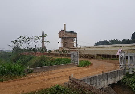 Phù Ninh (Phú Thọ): Nghi vấn nhà máy gạch hoạt động “khuất tất”, gây ô nhiễm môi trường nghiêm trọng?