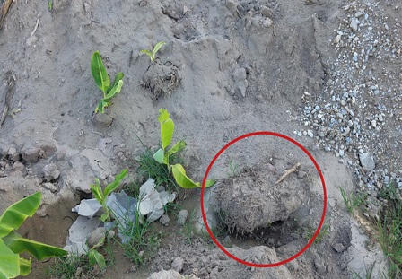 Hưng Yên: Nghi vấn Công ty Hoàng Anh thi công gian dối vẫn trúng hàng loạt gói thầu?