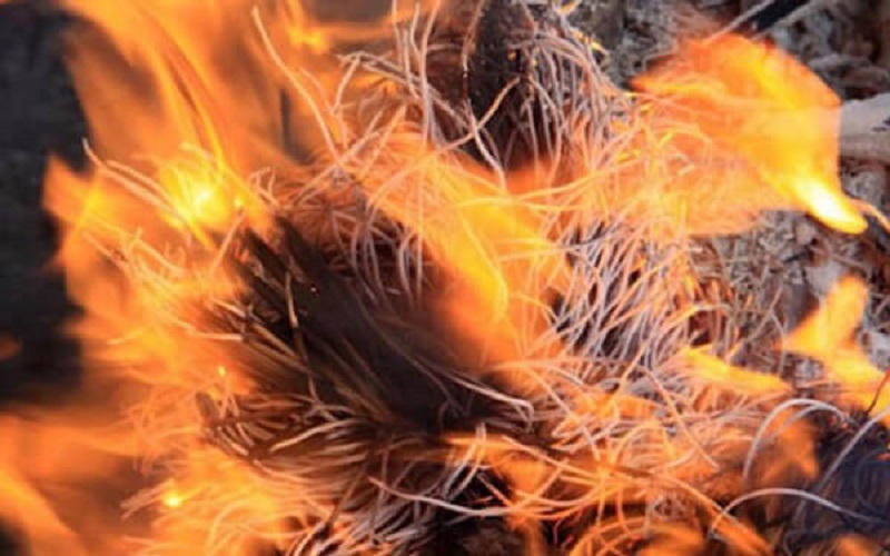 Cách lau dọn, bao sái bàn thờ trước Tết Quý Mão để đón tài lộc cả năm