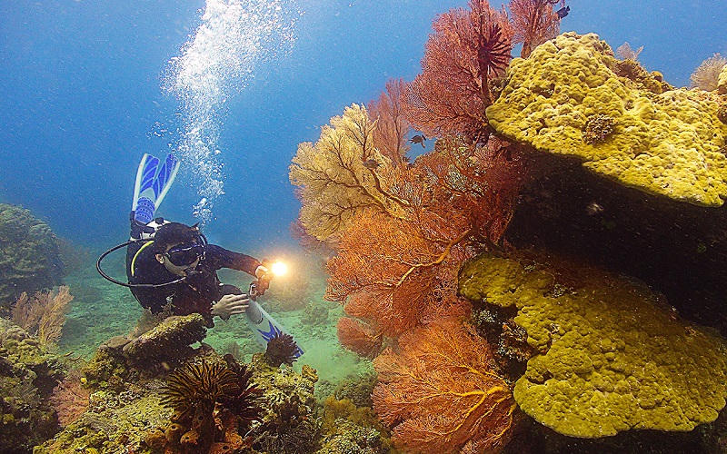 Côn Đảo lọt top điểm đến hoang sơ, tuyệt đẹp trên thế giới