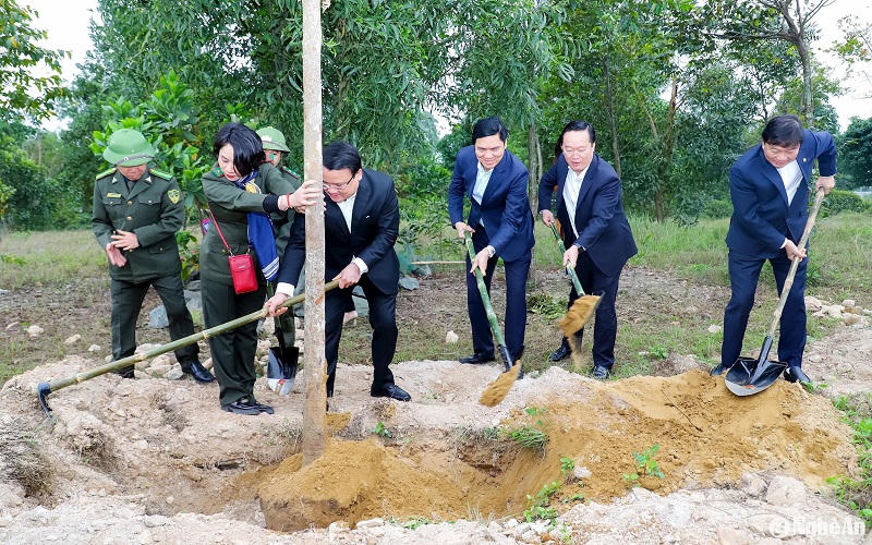 Hàng loạt tỉnh, thành trên cả nước tổ chức lễ phát động “Tết trồng cây đời đời nhớ ơn Bác Hồ”