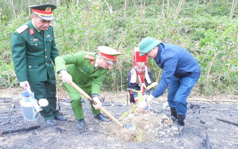 Hàng loạt tỉnh, thành trên cả nước tổ chức lễ phát động “Tết trồng cây đời đời nhớ ơn Bác Hồ”