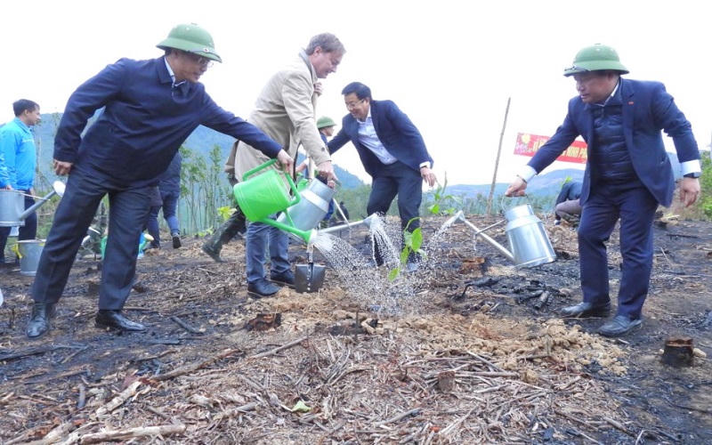 Hàng loạt tỉnh, thành trên cả nước tổ chức lễ phát động “Tết trồng cây đời đời nhớ ơn Bác Hồ”