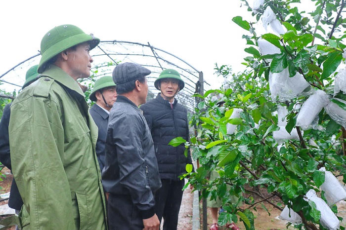 Chung sức, đồng lòng, đưa huyện Kỳ Anh đạt chuẩn nông thôn mới