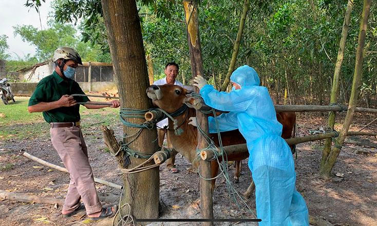 Nông nghiệp Quảng Bình vẫn “kết trái” giữa khó khăn bội phần