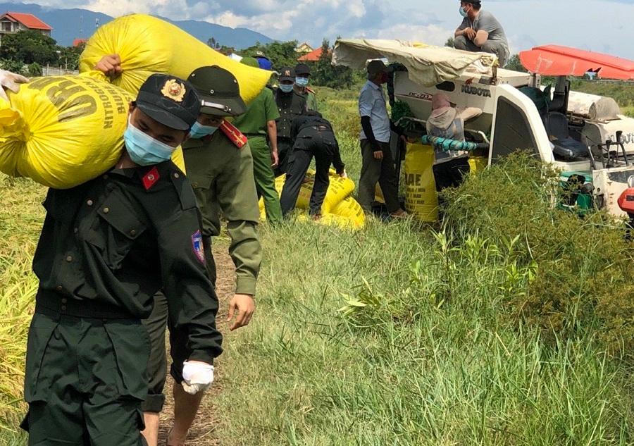 Công an Quảng Bình sáng gặt lúa giúp dân, chiều trực chốt phòng dịch