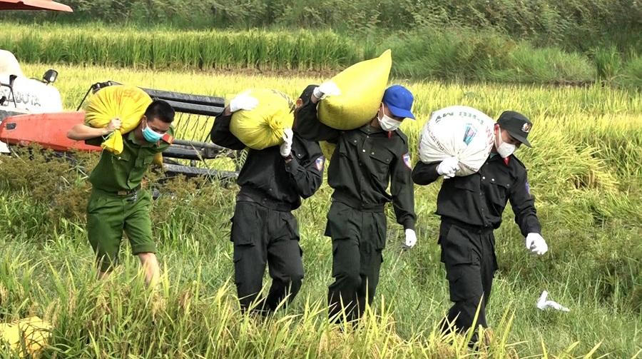 Công an Quảng Bình sáng gặt lúa giúp dân, chiều trực chốt phòng dịch